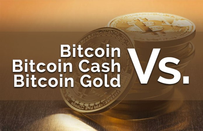 bitcoin cash vs bitcoin gold